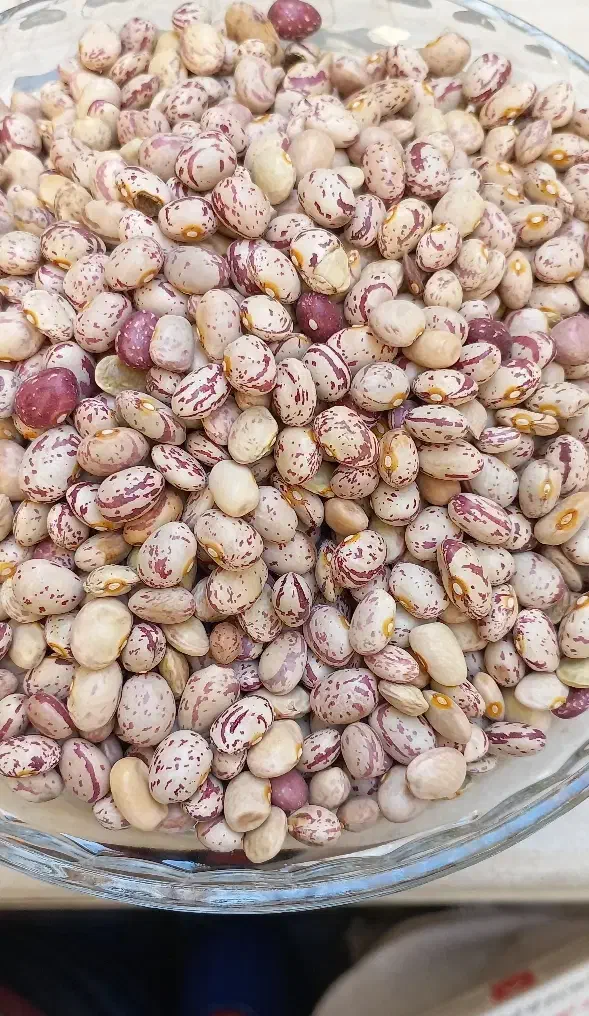 قرمز. چیتی|خوردنی و آشامیدنی|قم, شهرک فاطمیه|دیوار