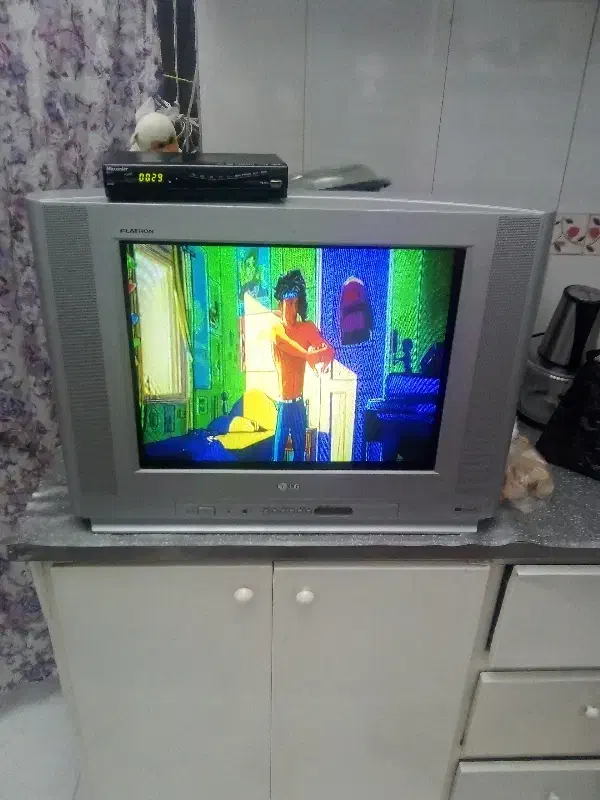 تلویزیون سالم|تلویزیون و پروژکتور|تربتحیدریه, آغوی|دیوار