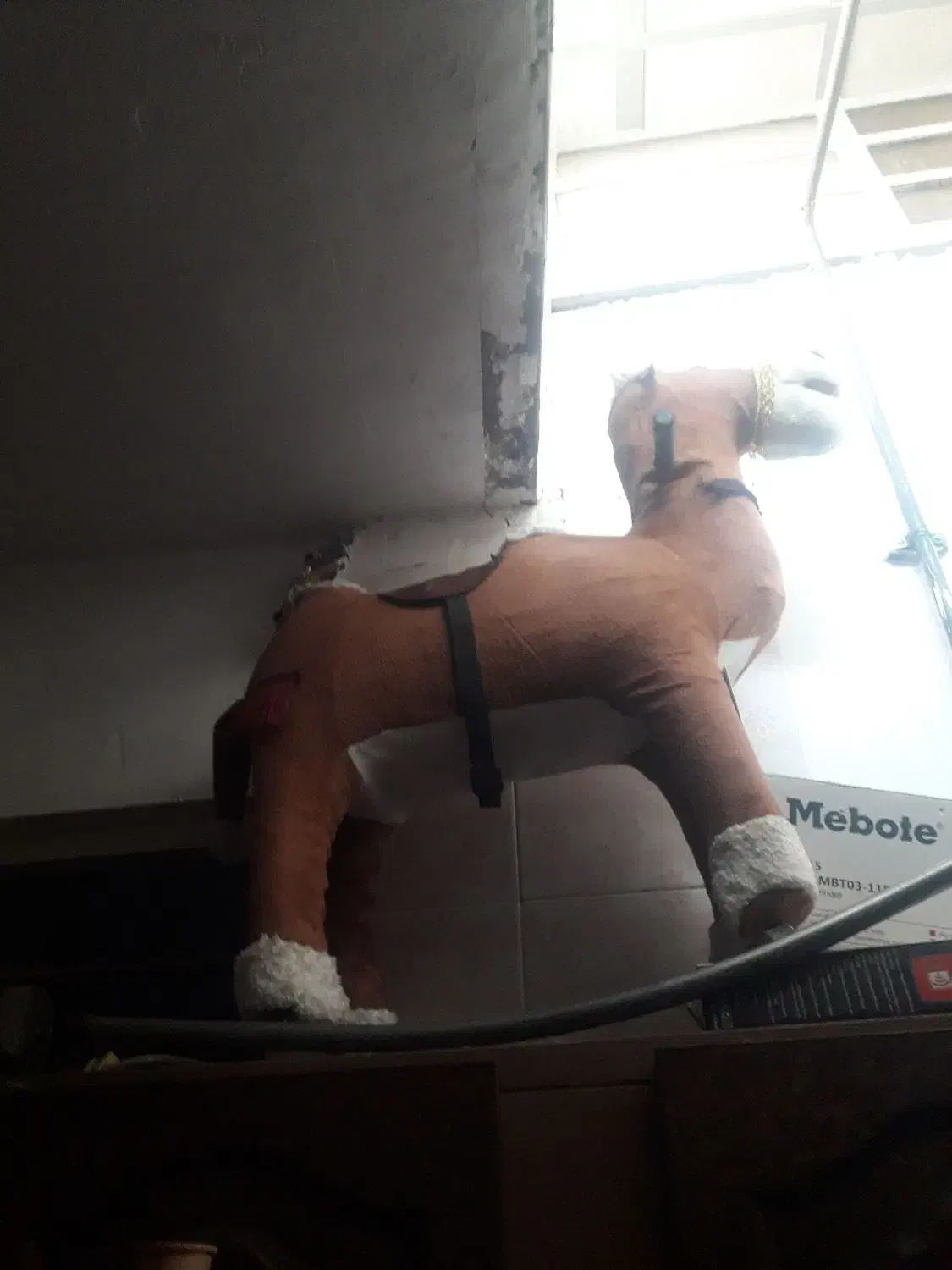 شتربازی کودک|اسباببازی بچه|دزفول, |دیوار