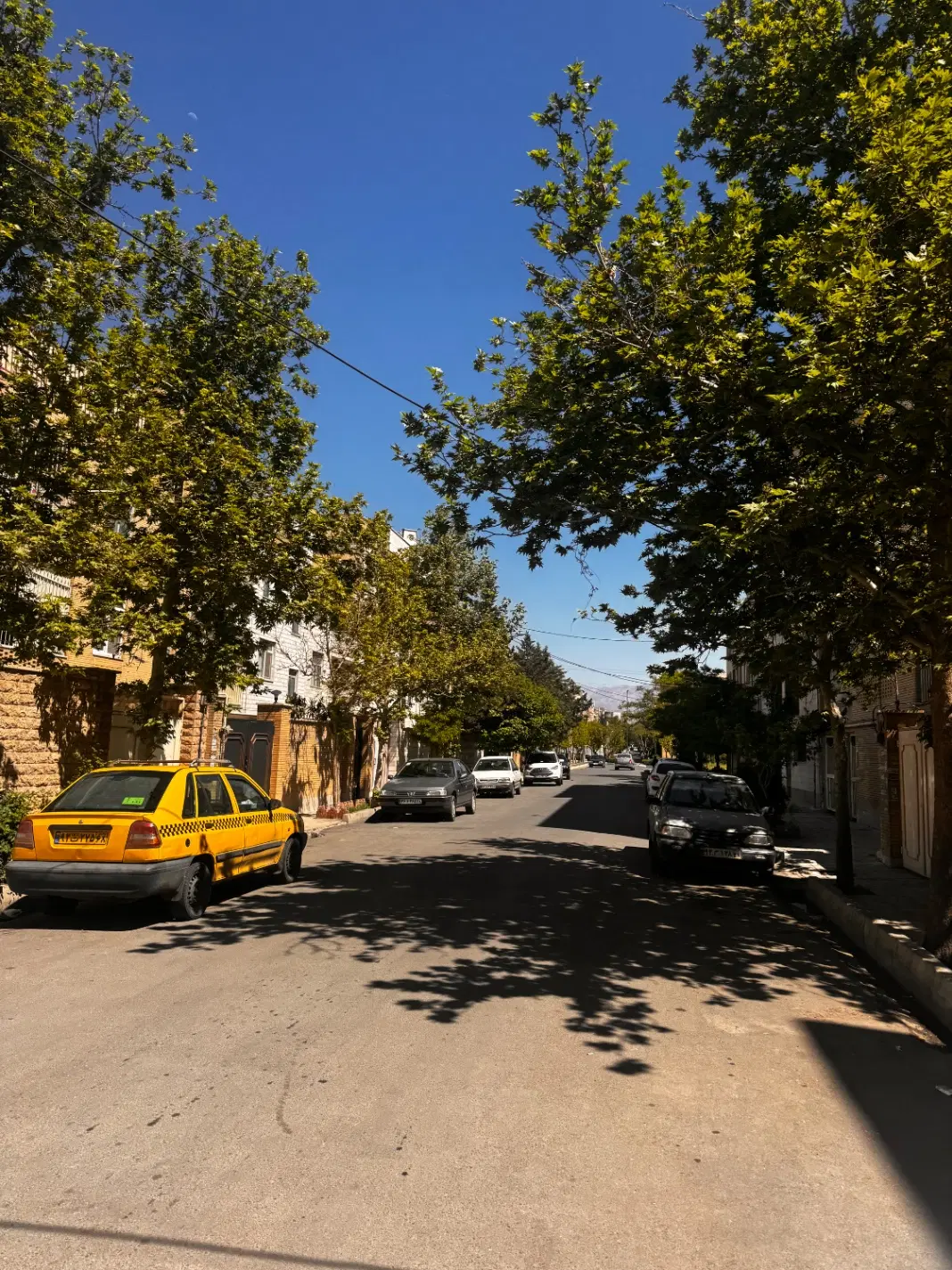 تصویر 9