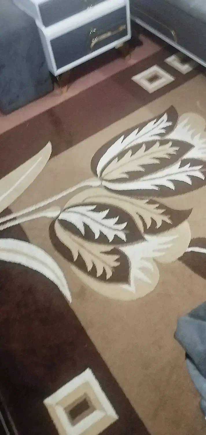 گلیم 12متری|گلیم، جاجیم، گبه|بهبهان, |دیوار