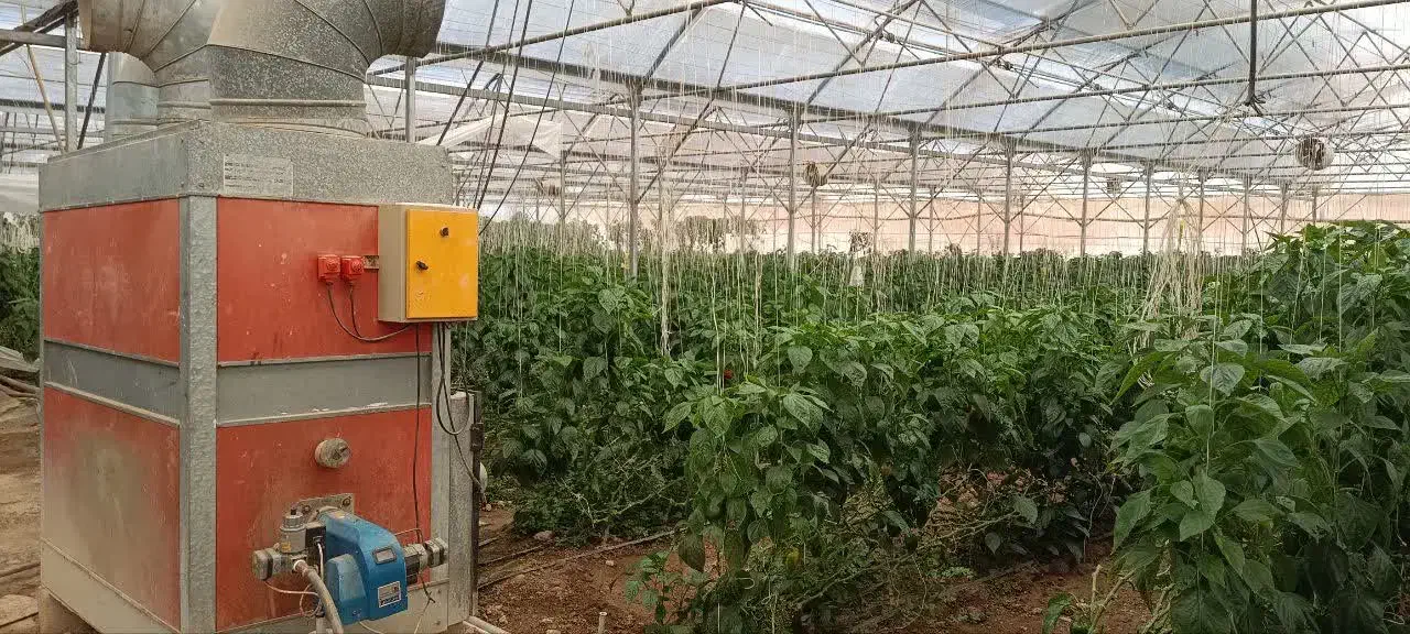 فروش گلخانه با تخفیف میلیاردی|فروش دفتر صنعتی، کشاورزی، تجاری|اصفهان, میرعماد|دیوار