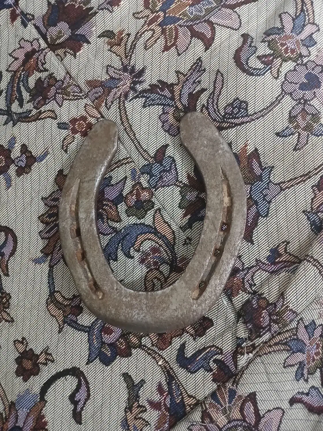 نعل اسب|اسب و تجهیزات اسب‌سواری|فردیس, شهرک شهید حسینی|دیوار