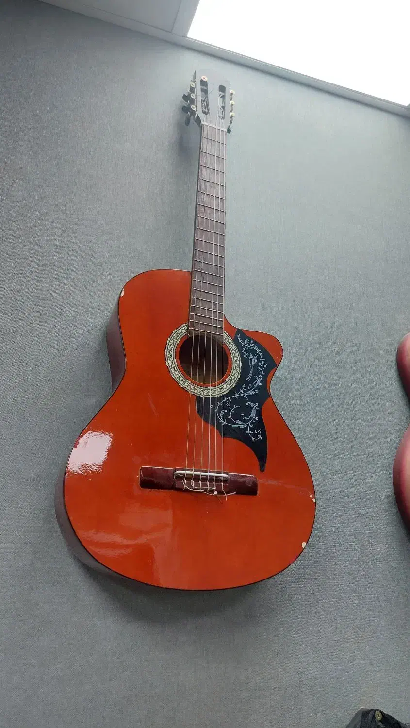 گیتار فقط ۱۵۰۰|گیتار، بیس، امپلیفایر|همدان, |دیوار