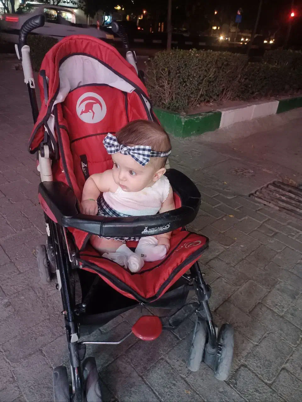 کالسکه و صندلی غذا|کالسکه و لوازم جانبی|مشهد, شهید رضوی|دیوار