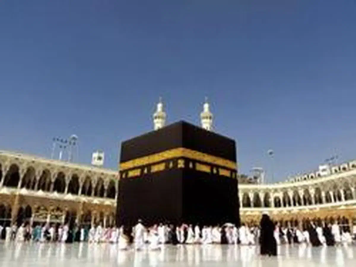 فروش فیش حج|تور و چارتر|بجنورد, |دیوار
