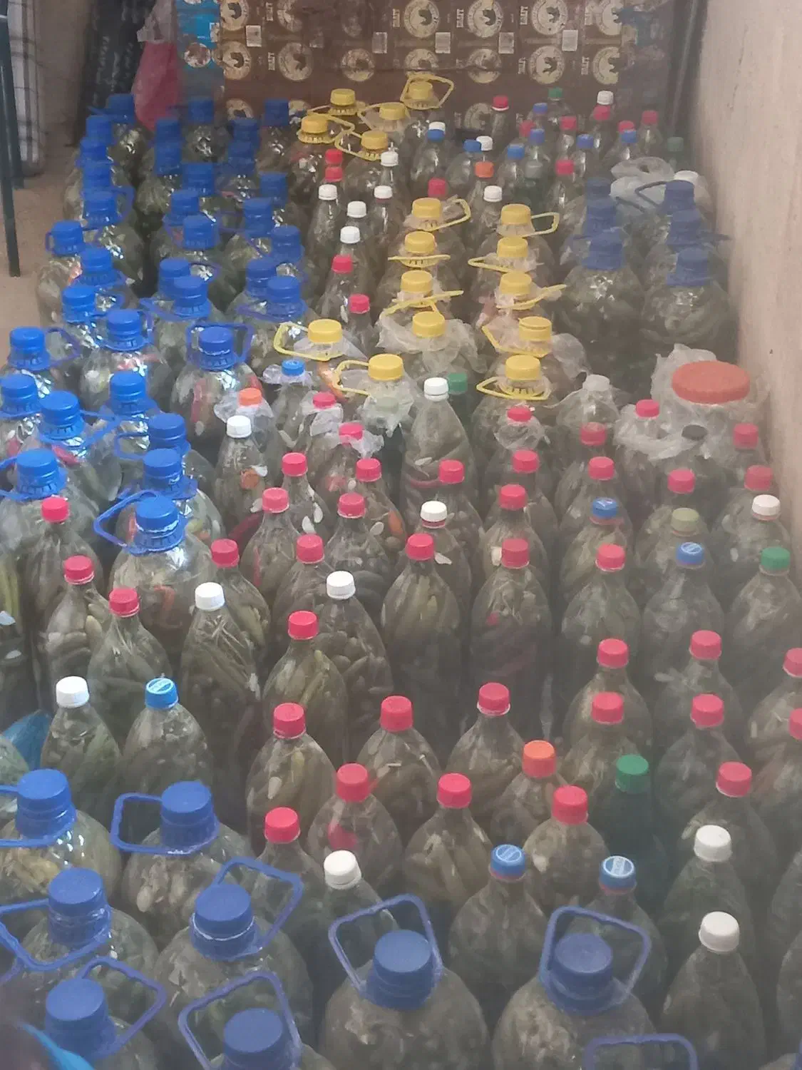 خیارشور|خوردنی و آشامیدنی|کوهدشت, |دیوار