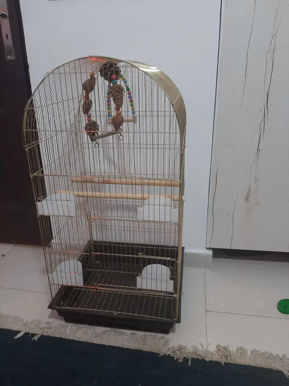 قفس پرنده|لوازم جانبی حیوانات|محمدشهر, شهرک پیام (مهرالبرز)|دیوار