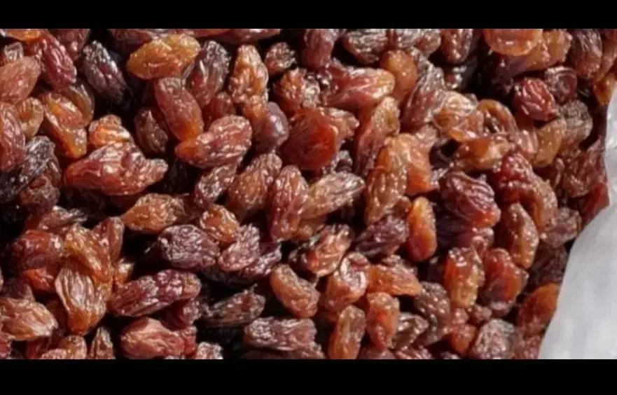 کشمش کاشمر(ترشیز) درصد بالا|خوردنی و آشامیدنی|کاشمر, |دیوار