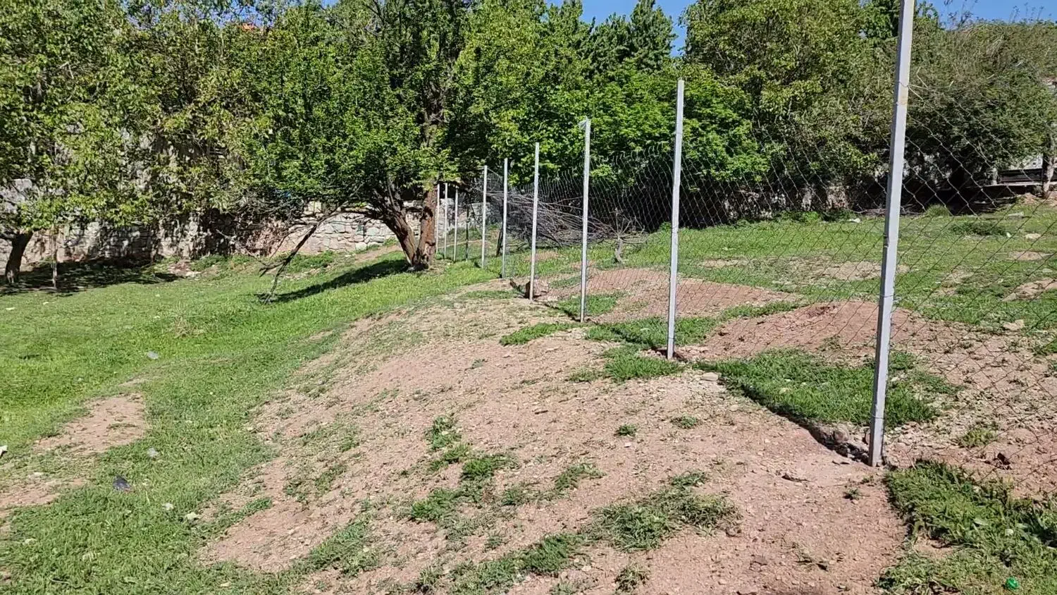 زمین در روستای امامه بالا|فروش زمین و ملک کلنگی|فشم, |دیوار