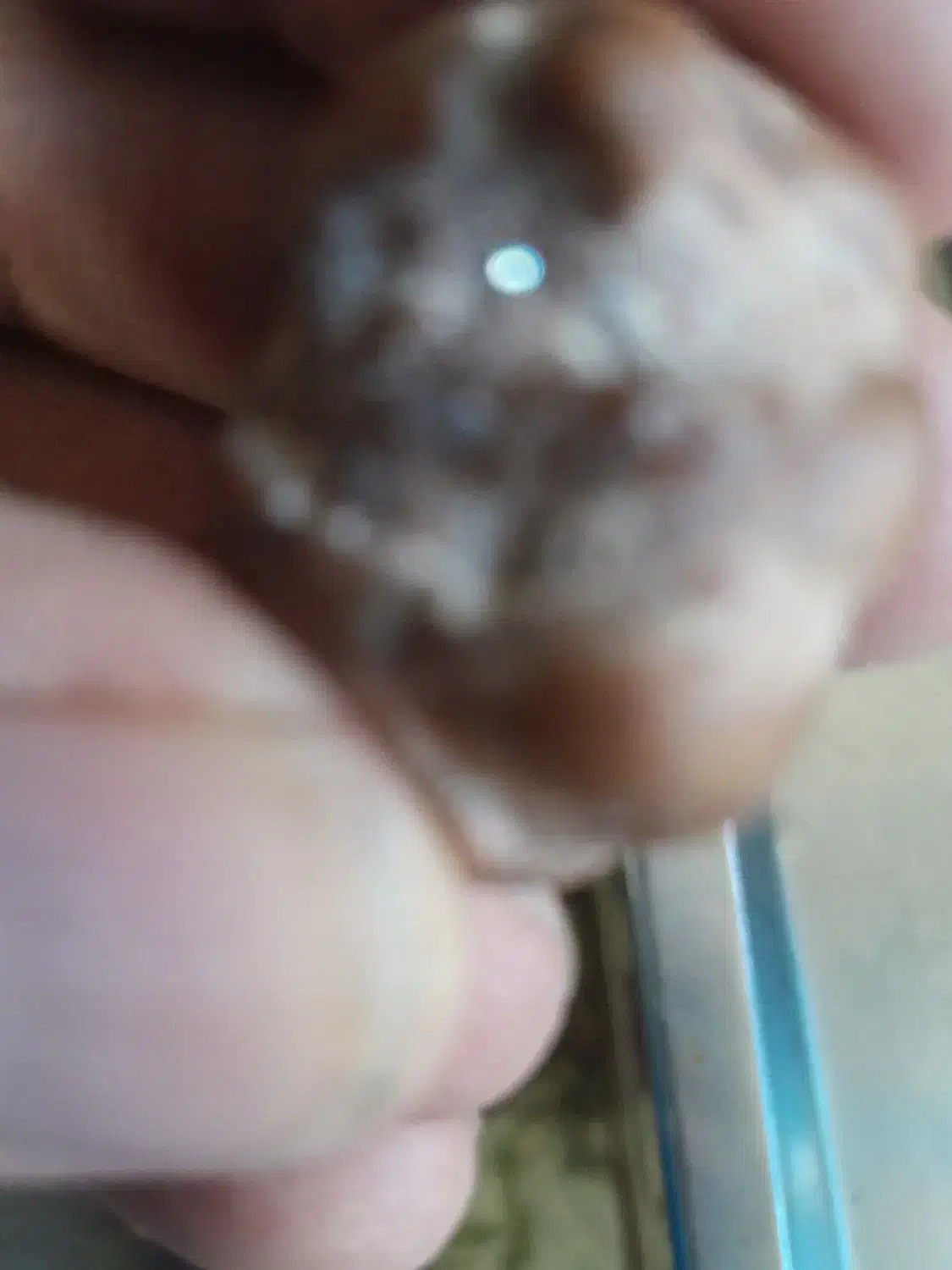 شهاب سنگ کوچولو|کلکسیون اشیاء عتیقه|خفر, |دیوار