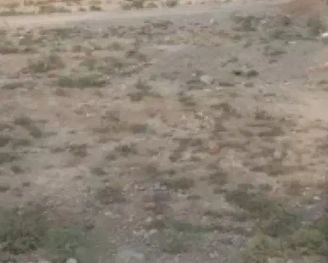 فروش زمین فولاد محله متری ۷۰۰|فروش زمین و ملک کلنگی|شهمیرزاد, |دیوار