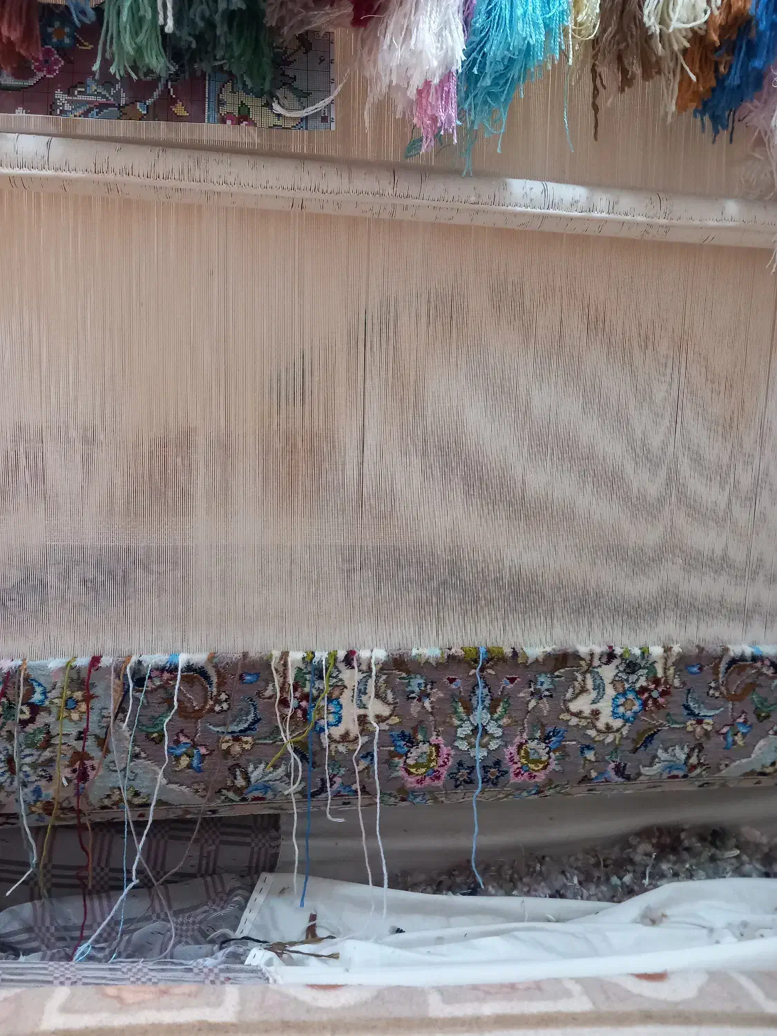 فرش۶متری|فرش|کاشان, دانشگاه کاشان|دیوار