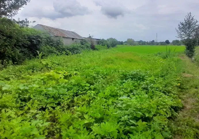 زمین ۲۰۰متری بدون واسطه نزدیک حسن رود منطقه ازاد|فروش زمین و ملک کلنگی|رشت, بازار|دیوار