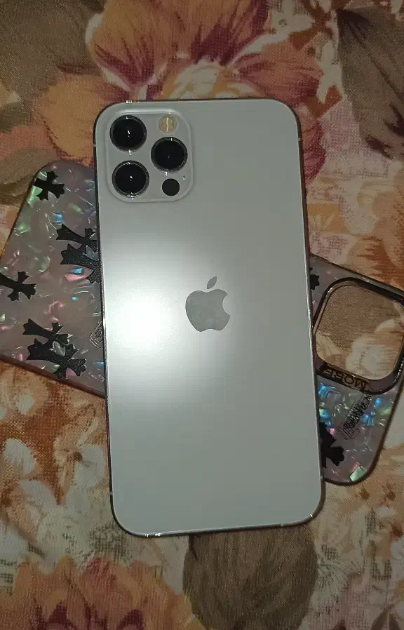 iPhone 12 pro|موبایل|ارومیه, |دیوار