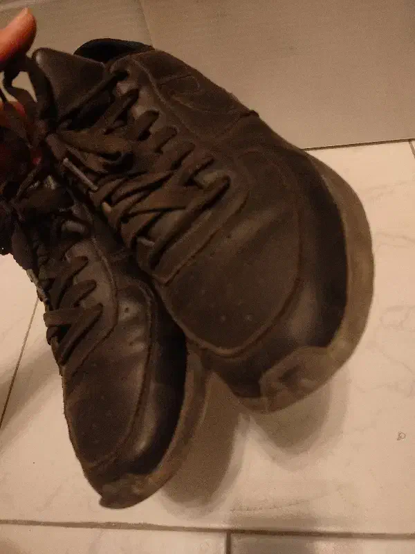 کفش کتونی|کیف، کفش، کمربند|نیشابور, بزرگمهر|دیوار