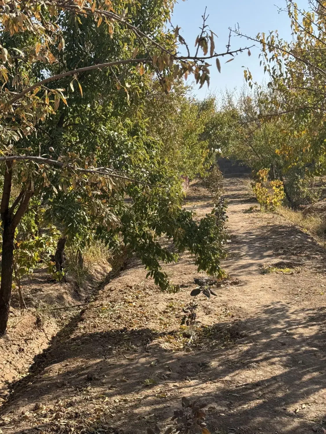 2000متر باغ ویلا سند دار|فروش زمین و ملک کلنگی|زرندیه, |دیوار