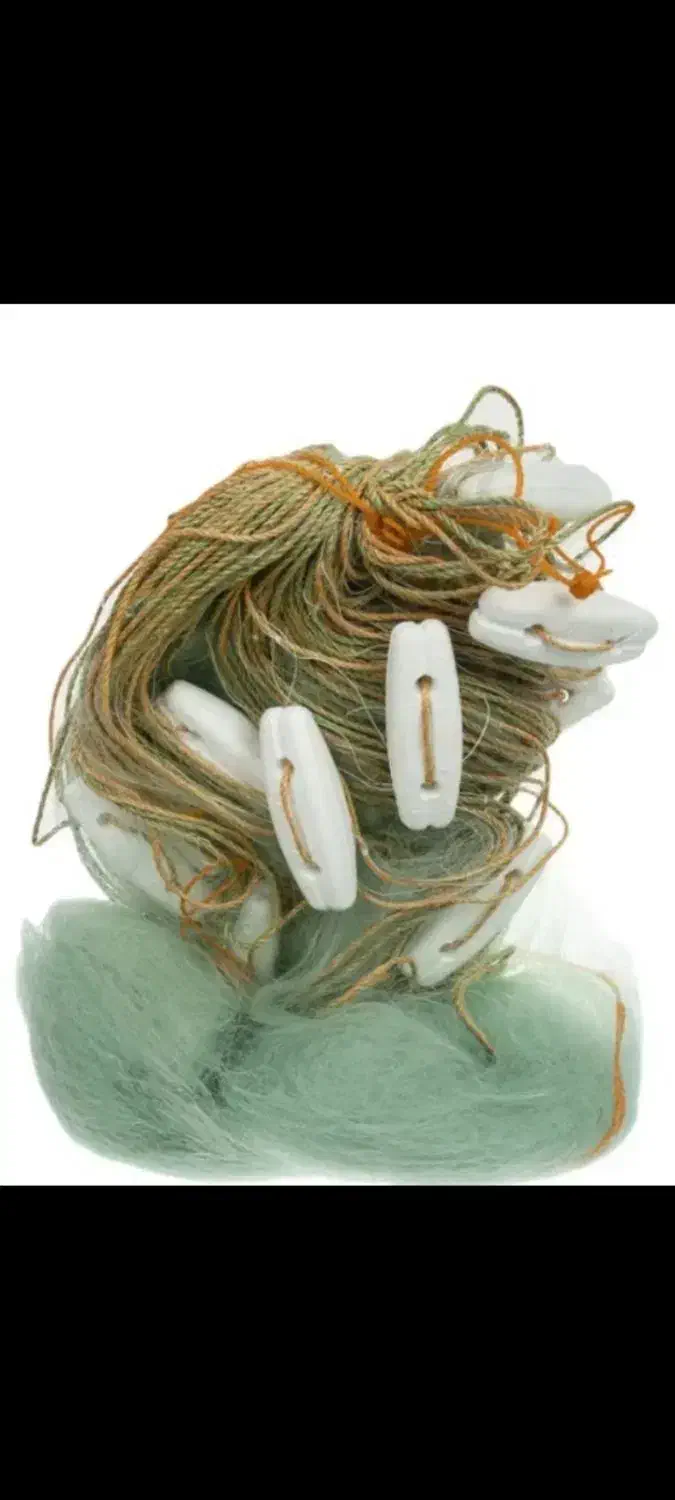 دام و تور ماهیگیری|ماهیگیری|بندر ترکمن, |دیوار