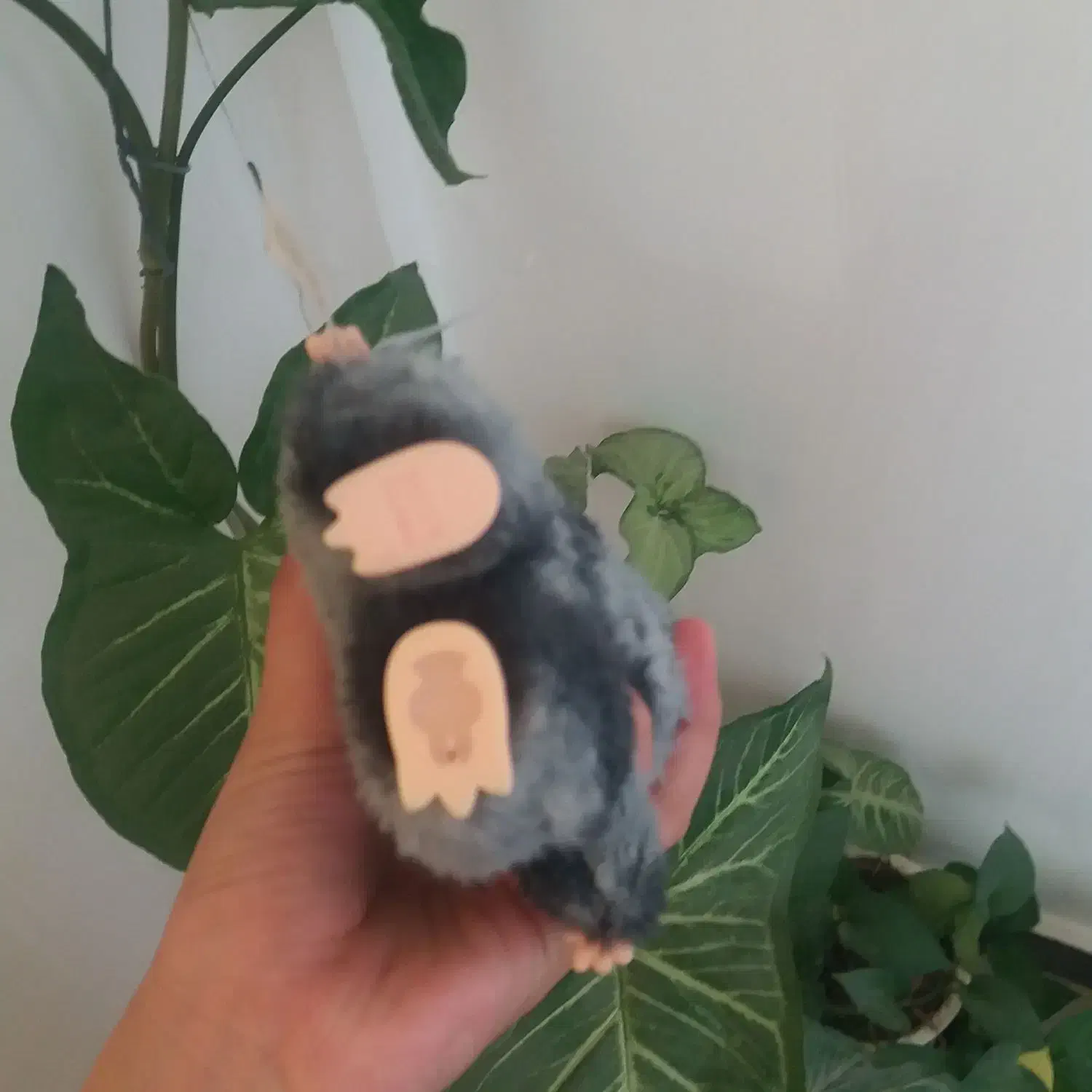 لبوبو|اسباببازی|قروه, |دیوار