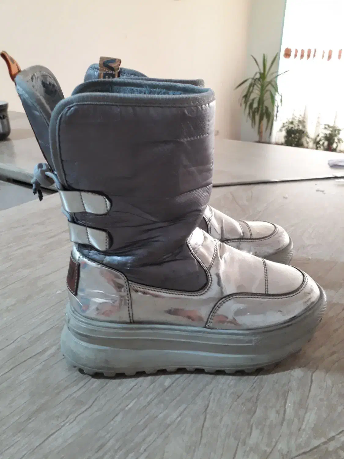 پوتین|کیف، کفش، کمربند|تبریز, |دیوار