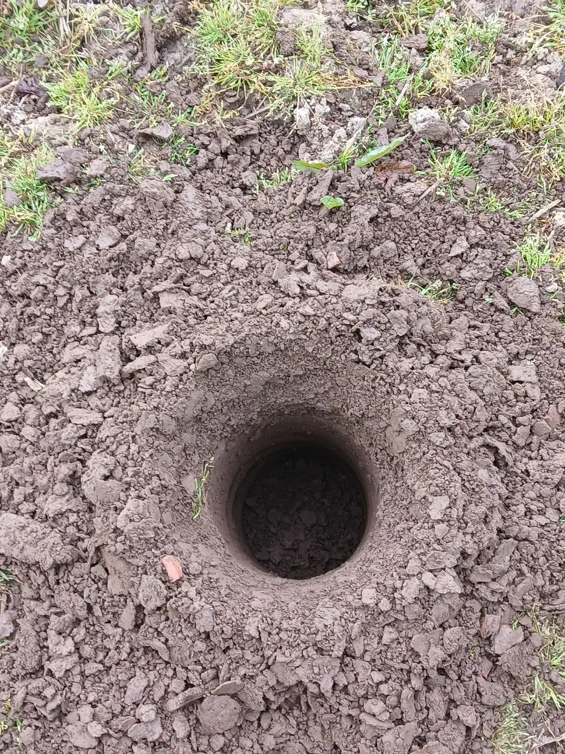 خدمات باغبانی۰حرص کردن باغ ۰تمیز کردن باغ مخروبه۰|خدمات باغبانی و درختکاری|لاهیجان, آهندان|دیوار