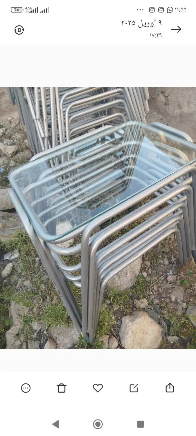 گل میز عسلی ۵۰ عدد|مبلمان خانگی و میز عسلی|داراب, |دیوار