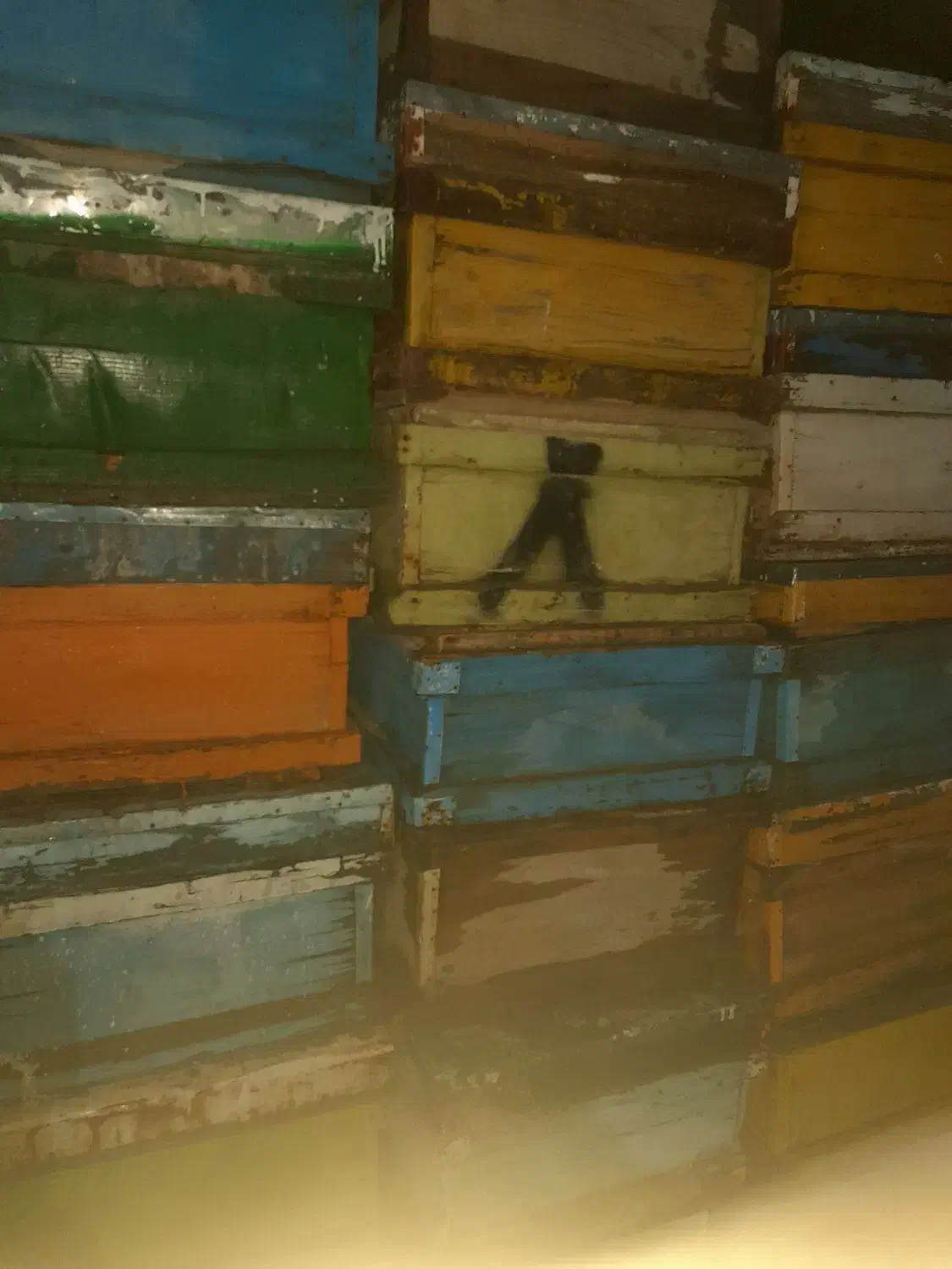 کندو زنبور عسل ۵۰۰ عددو۳۰۰ طبق|لوازم جانبی حیوانات|لاران, |دیوار