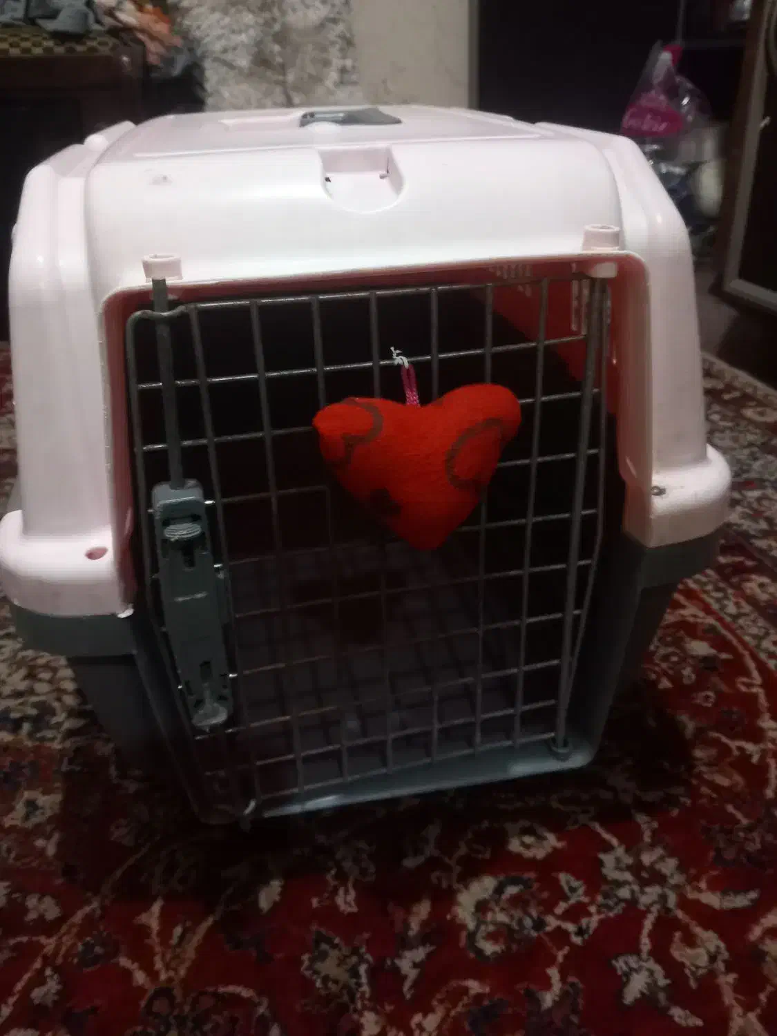 باکس سگ بزرگ و جادار .محکم و زیبا|لوازم جانبی حیوانات|رشت, تازه آباد|دیوار