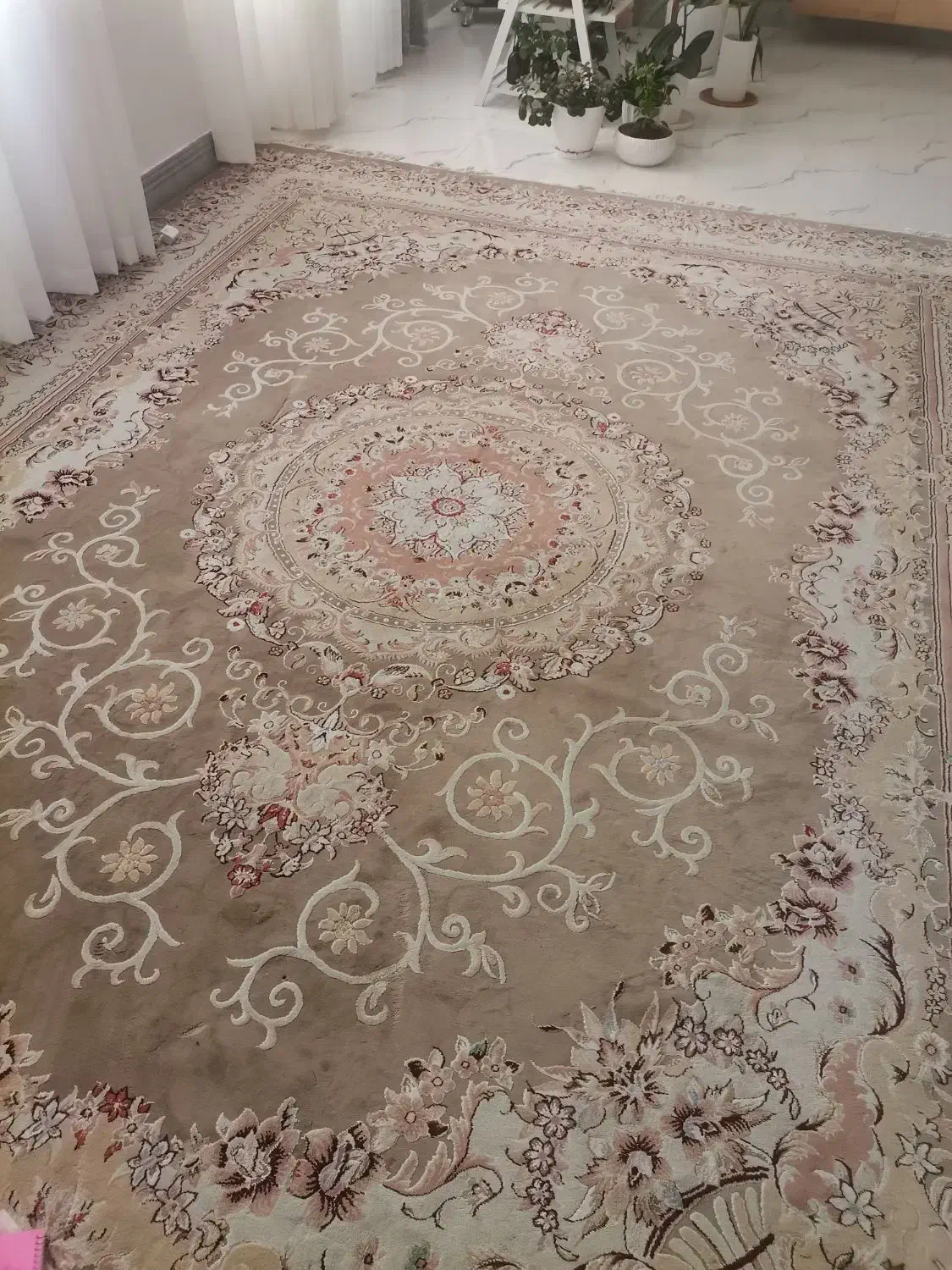 فرش|فرش|صدرا-فارس, فاز ۲|دیوار