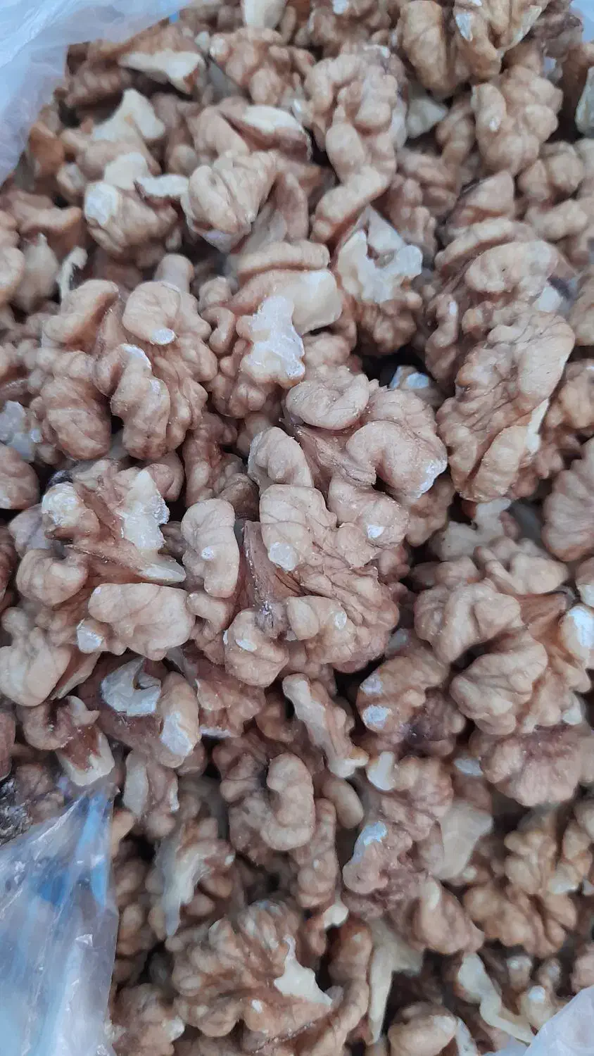 گردو ارگانیک و خوشمزه الموت|خوردنی و آشامیدنی|محمدیه-قزوین, |دیوار