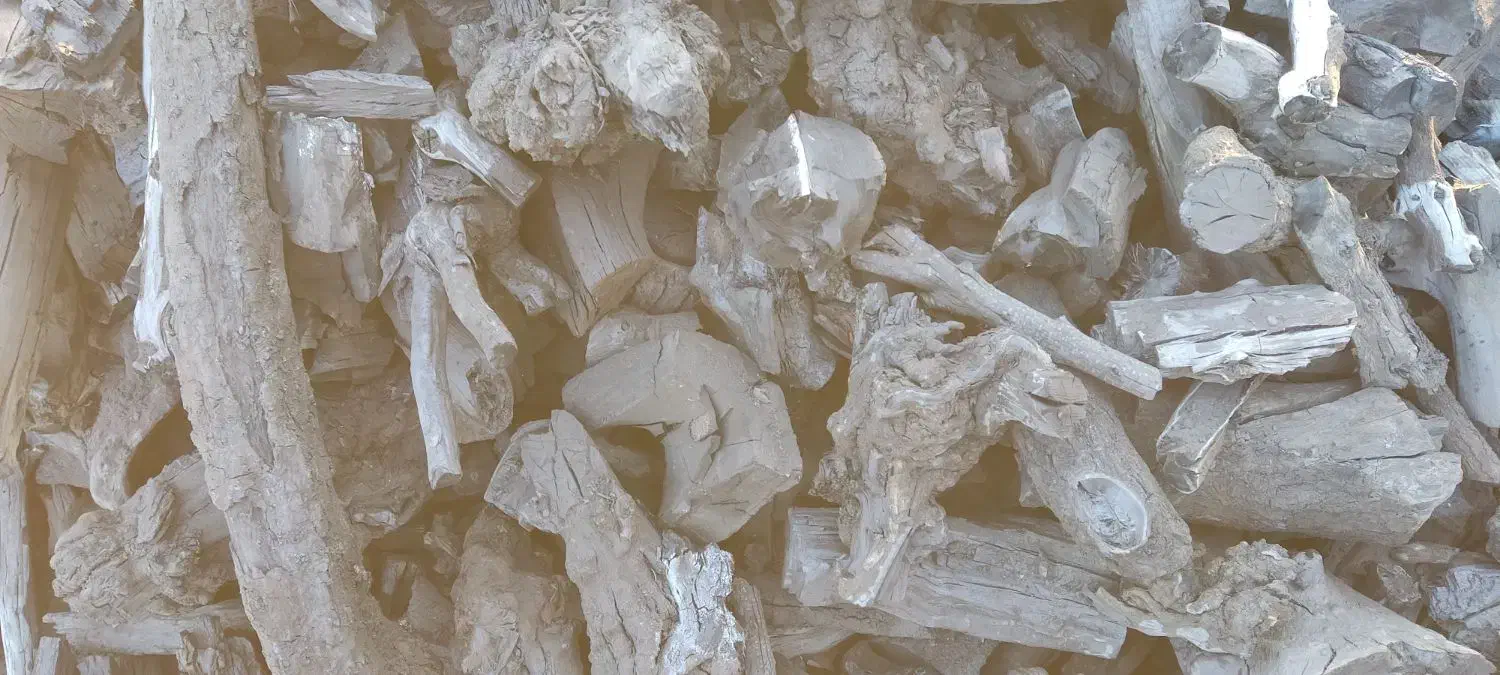 زغال کبابی|عمدهفروشی|یزد, |دیوار