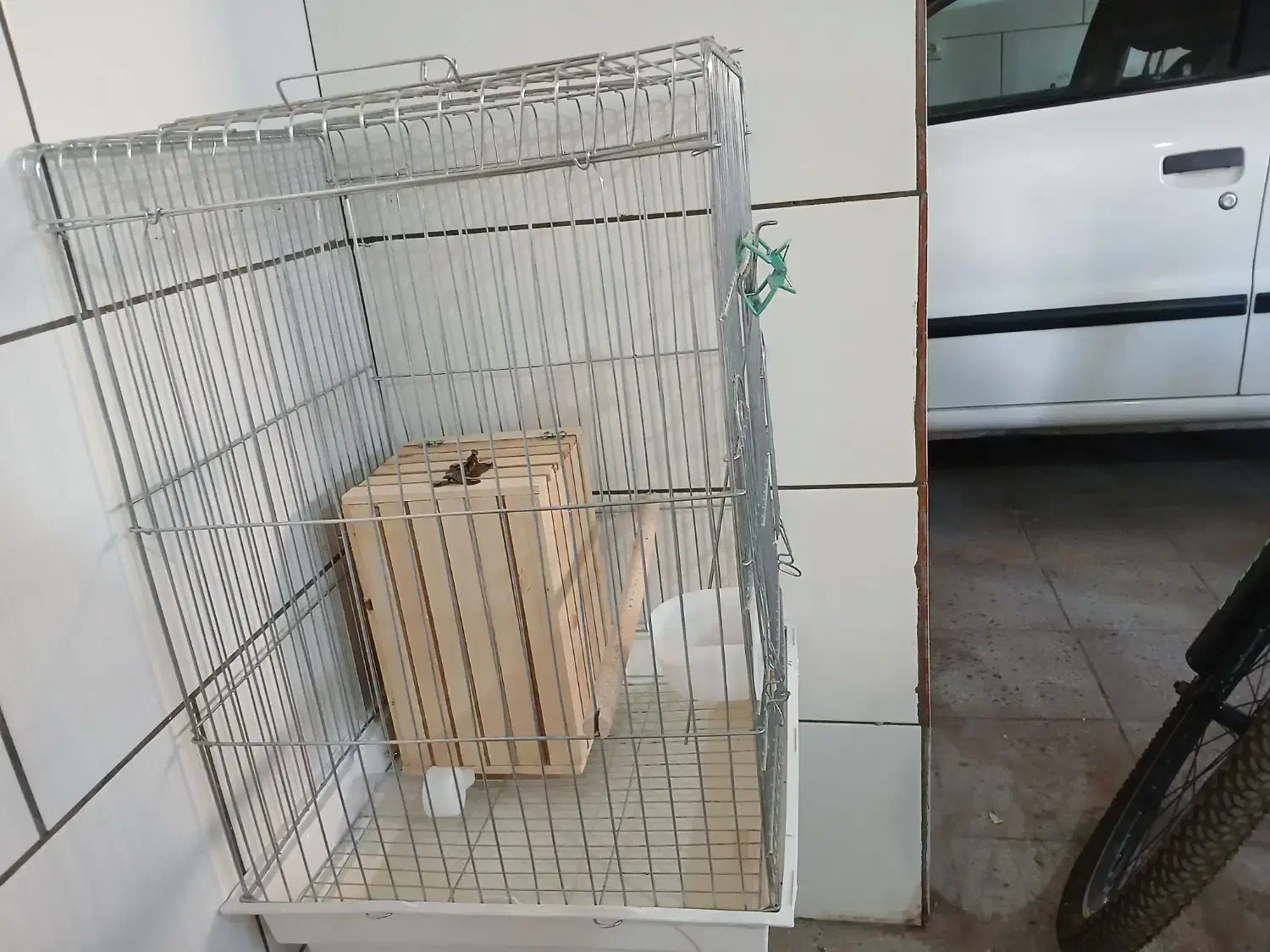 قفس پرنده|لوازم جانبی حیوانات|فسا, |دیوار