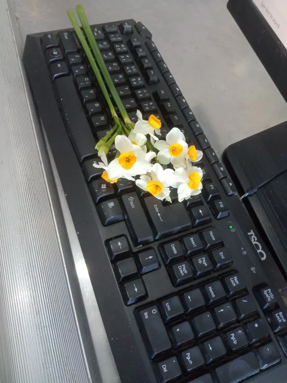 اجاره مغازه|اجارهٔ مغازه و غرفه|یاسوج, |دیوار