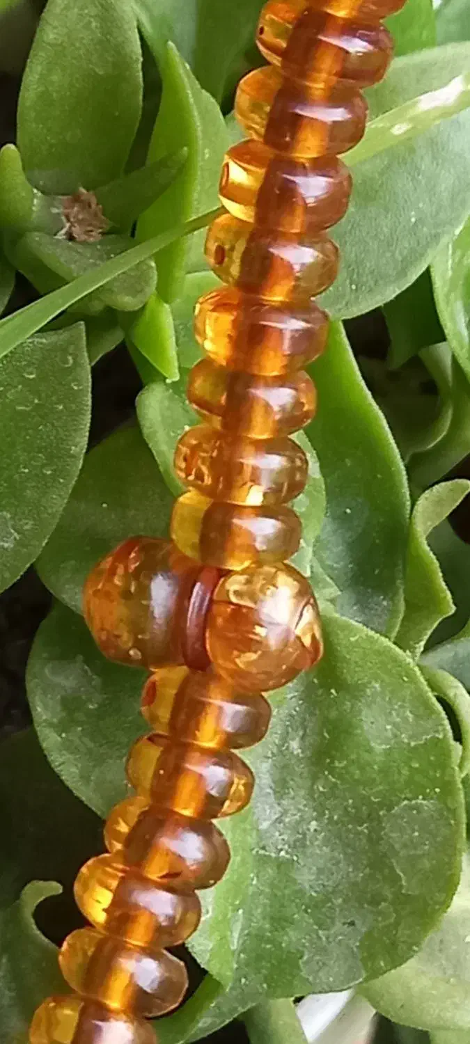 تسبیح کهربا آلمان عتیقه|زیورآلات و اکسسوری|تهران, شهران شمالی|دیوار