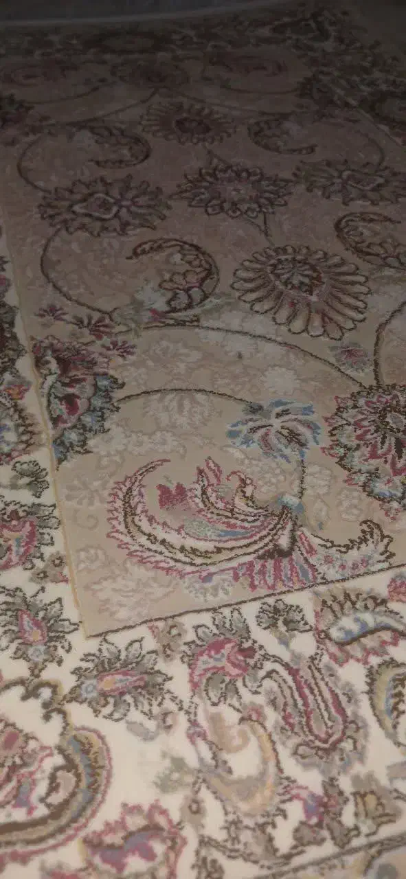 یک جفت پادری کرم صدفی ۱۶۰۰ شانه|پادری|کاشان, راوند|دیوار