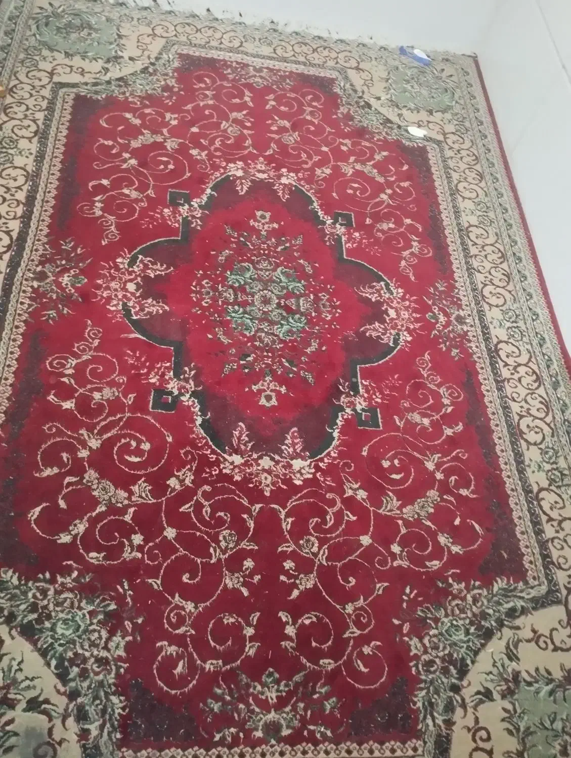 فرش ماشینی|فرش|شیراز, شیخ علی چوپان|دیوار