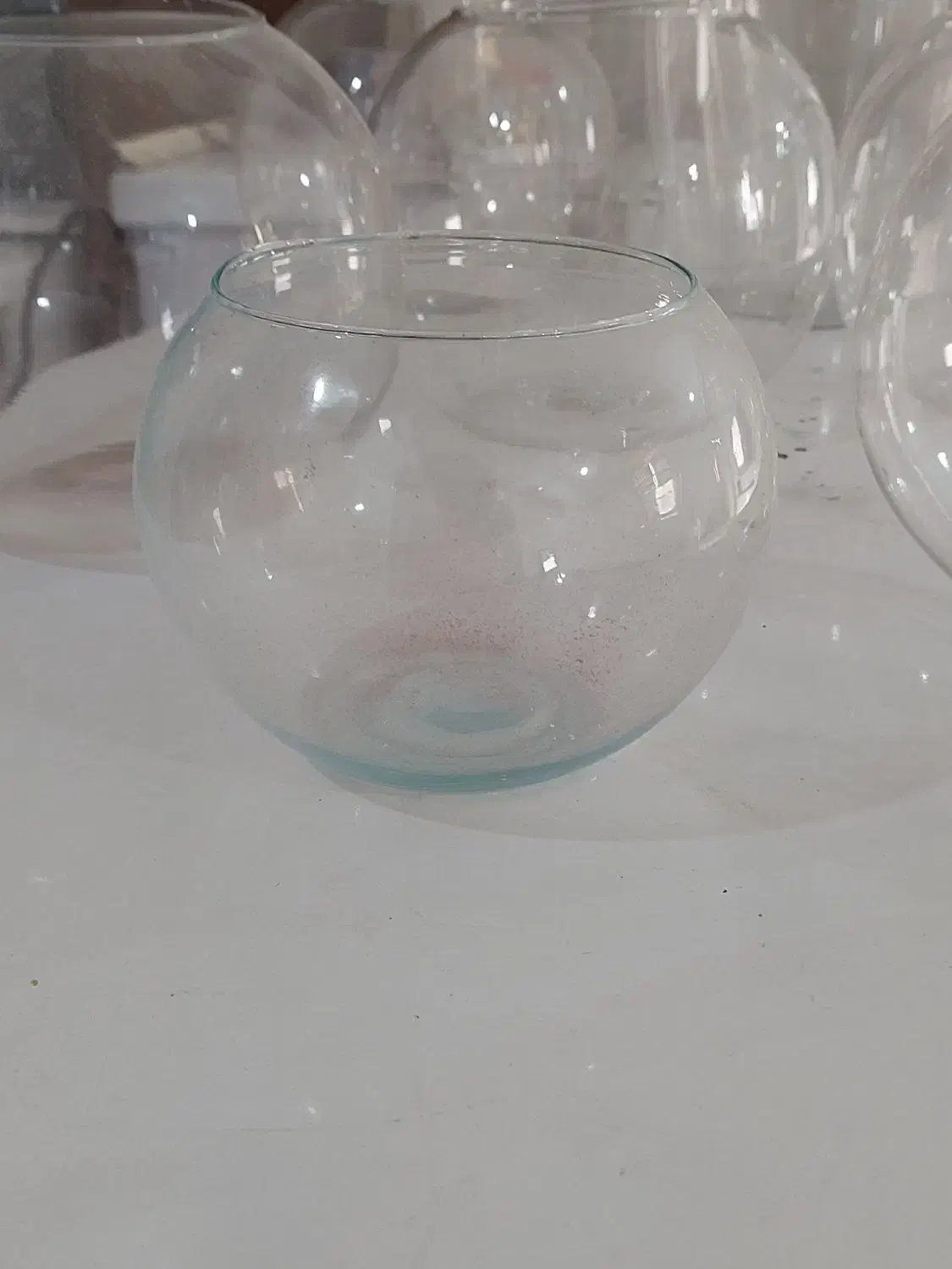 تنگ و اکواریوم|ماهی|بندرعباس, |دیوار