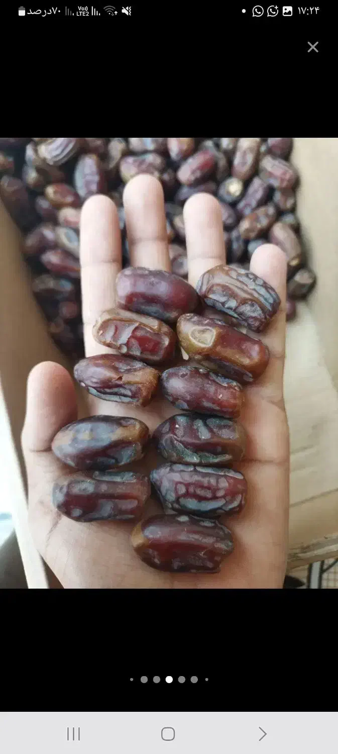 خرمای استعمران صادراتی درجه یک یک|عمده‌فروشی|شادگان, |دیوار