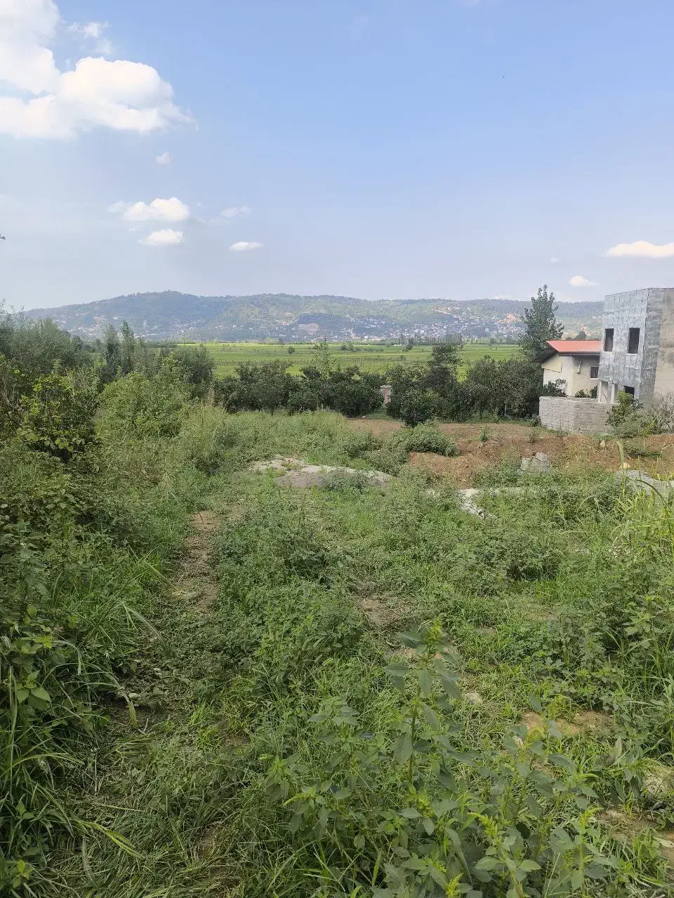 ۱۸۰ متر زمین بافت مسکونی/لفور|فروش زمین و ملک کلنگی|شیرگاه, |دیوار