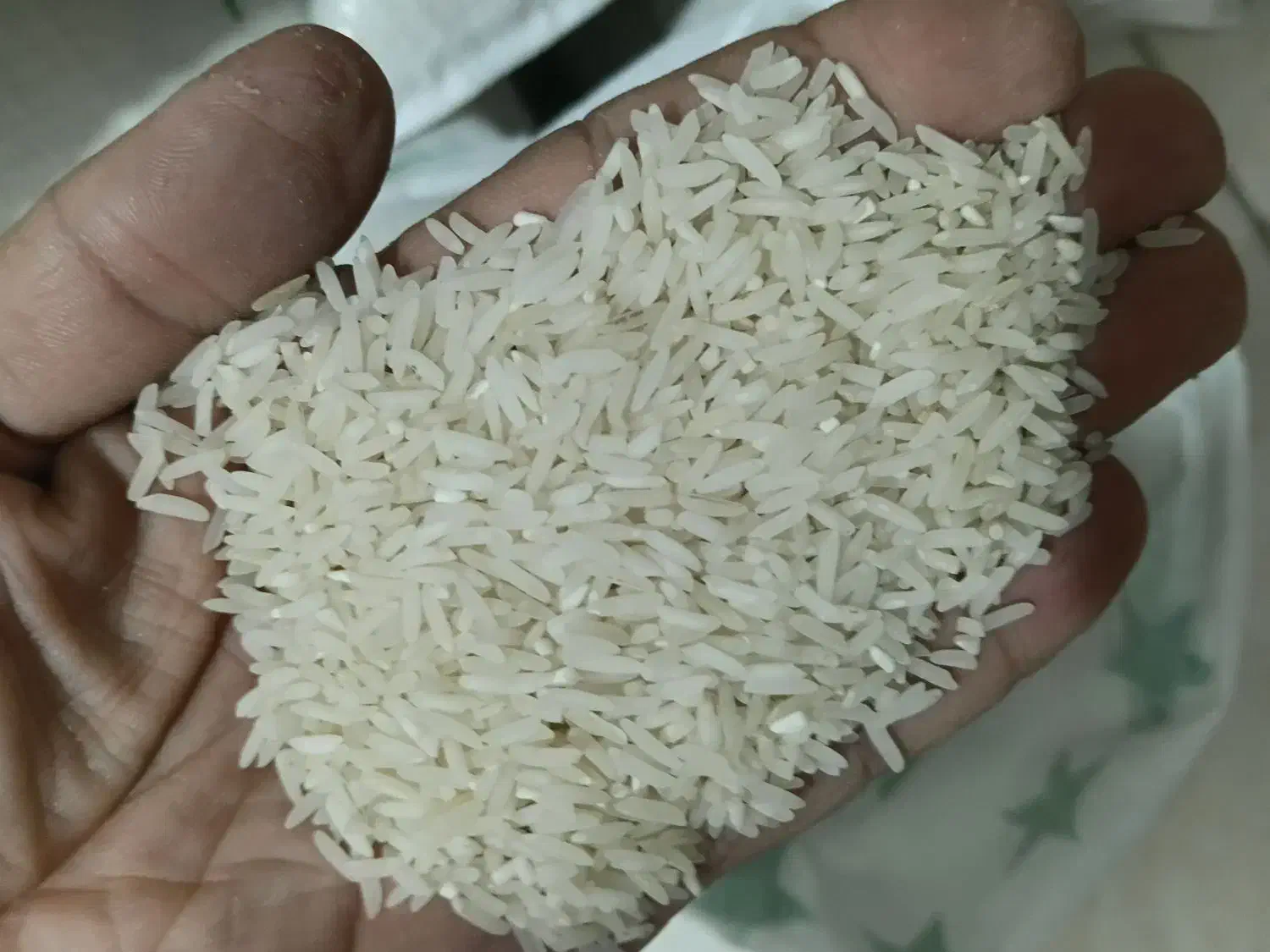 لاشه طارم به شرط پخت کشت مینودشت|خوردنی و آشامیدنی|گرگان, |دیوار