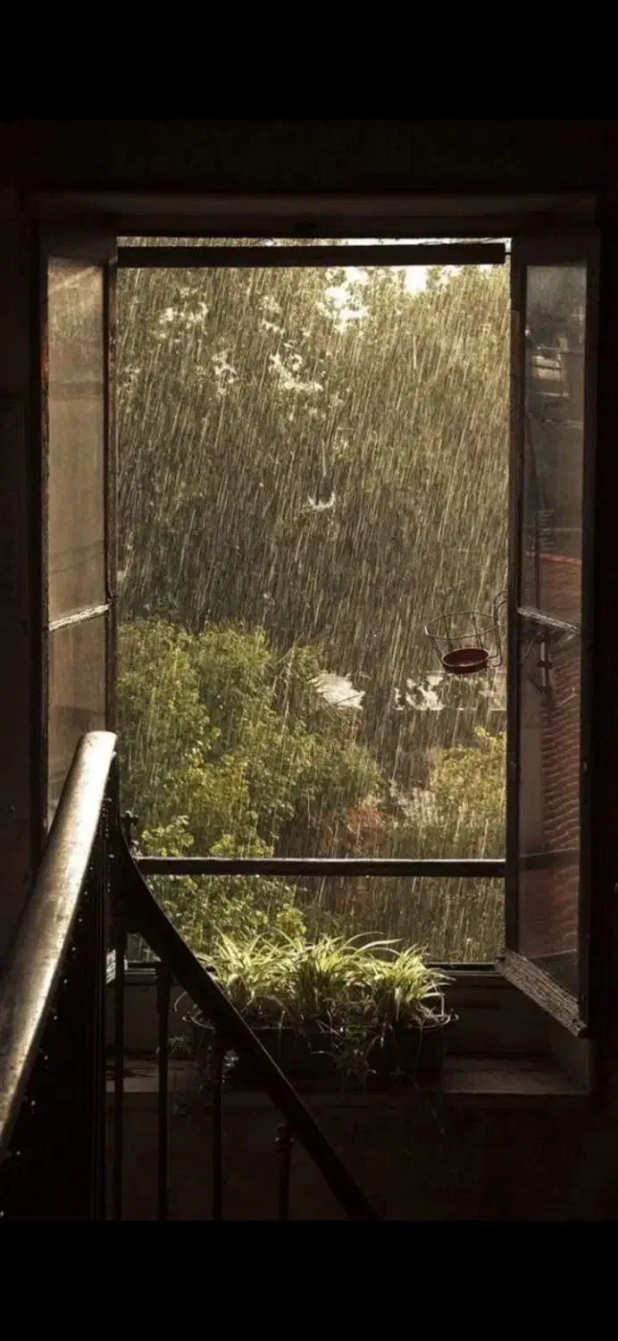 همخونه|اجارهٔ آپارتمان|قم, باجک دو|دیوار