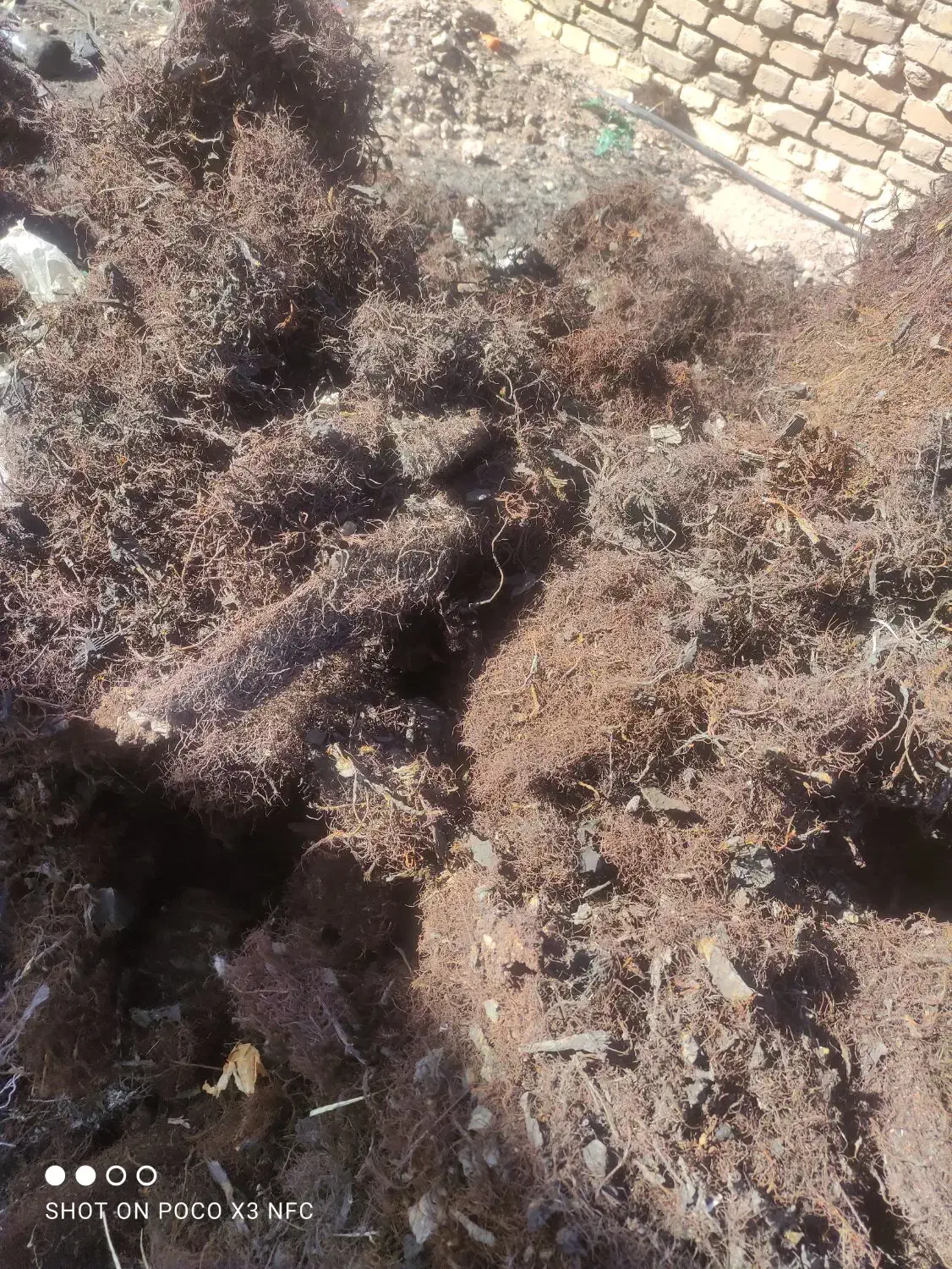 کارتن ۳۵آهن ۲۰۵۰۰|خدمات پیشه و مهارت|یزد, |دیوار