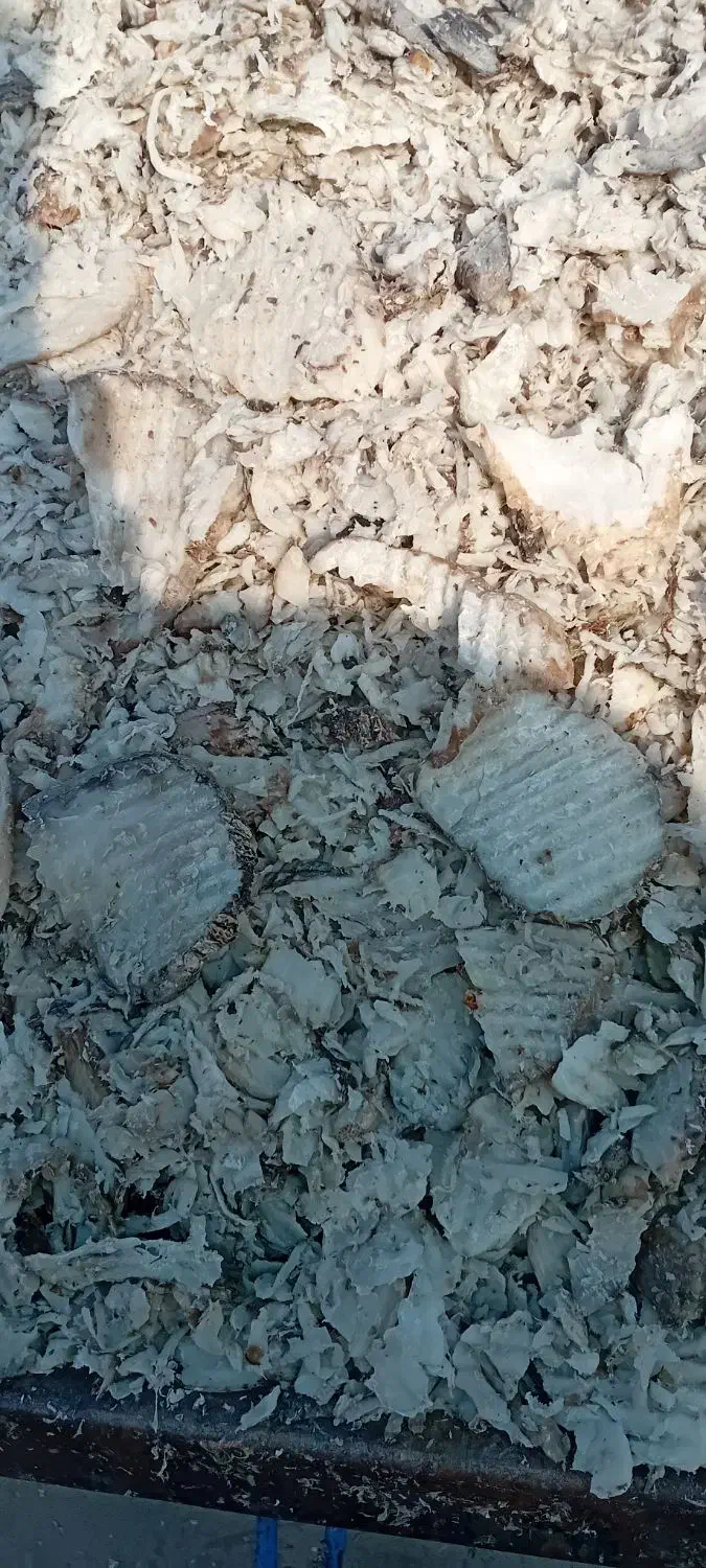 تفاله چغندر قند دامی|عمده‌فروشی|اشنویه, |دیوار