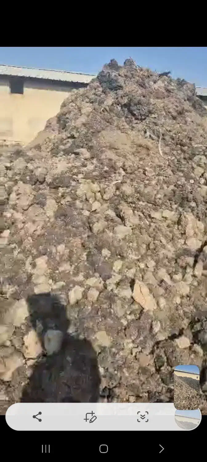 کودمرغی|خدمات باغبانی و درختکاری|نسیمشهر, |دیوار