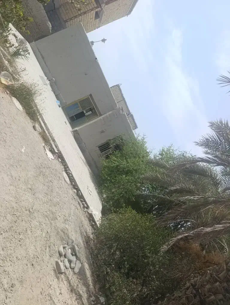 فروش زمین کلنگی|فروش زمین و ملک کلنگی|راسک, |دیوار