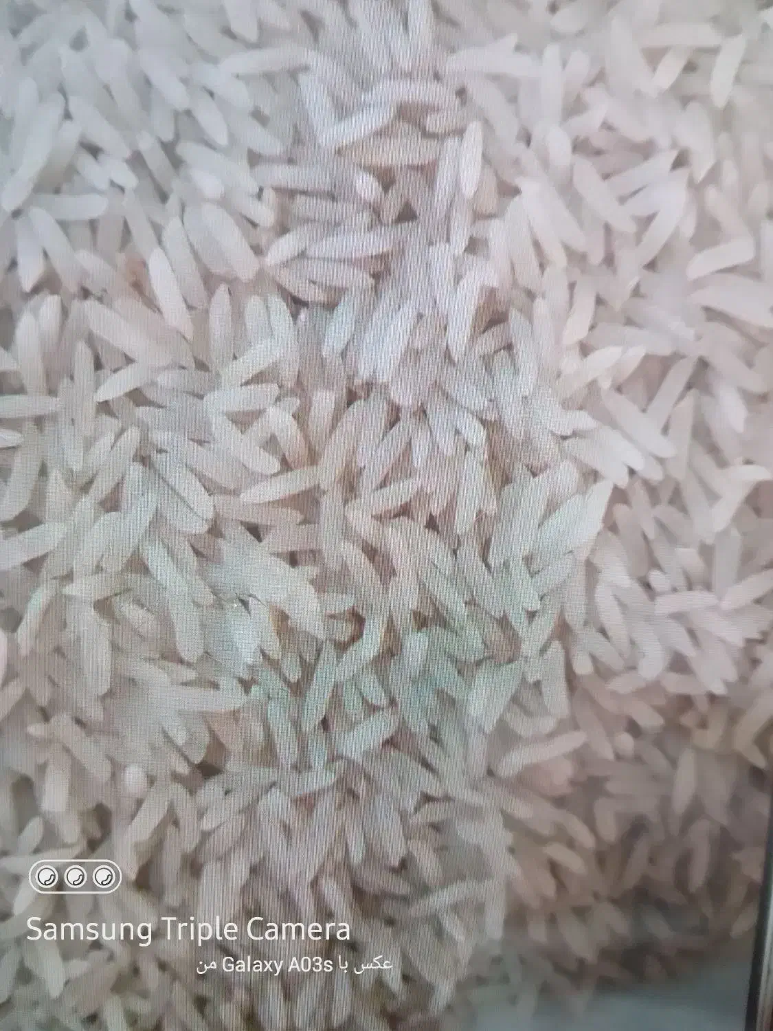 برنج طارم روشن|خوردنی و آشامیدنی|بهشهر, |دیوار