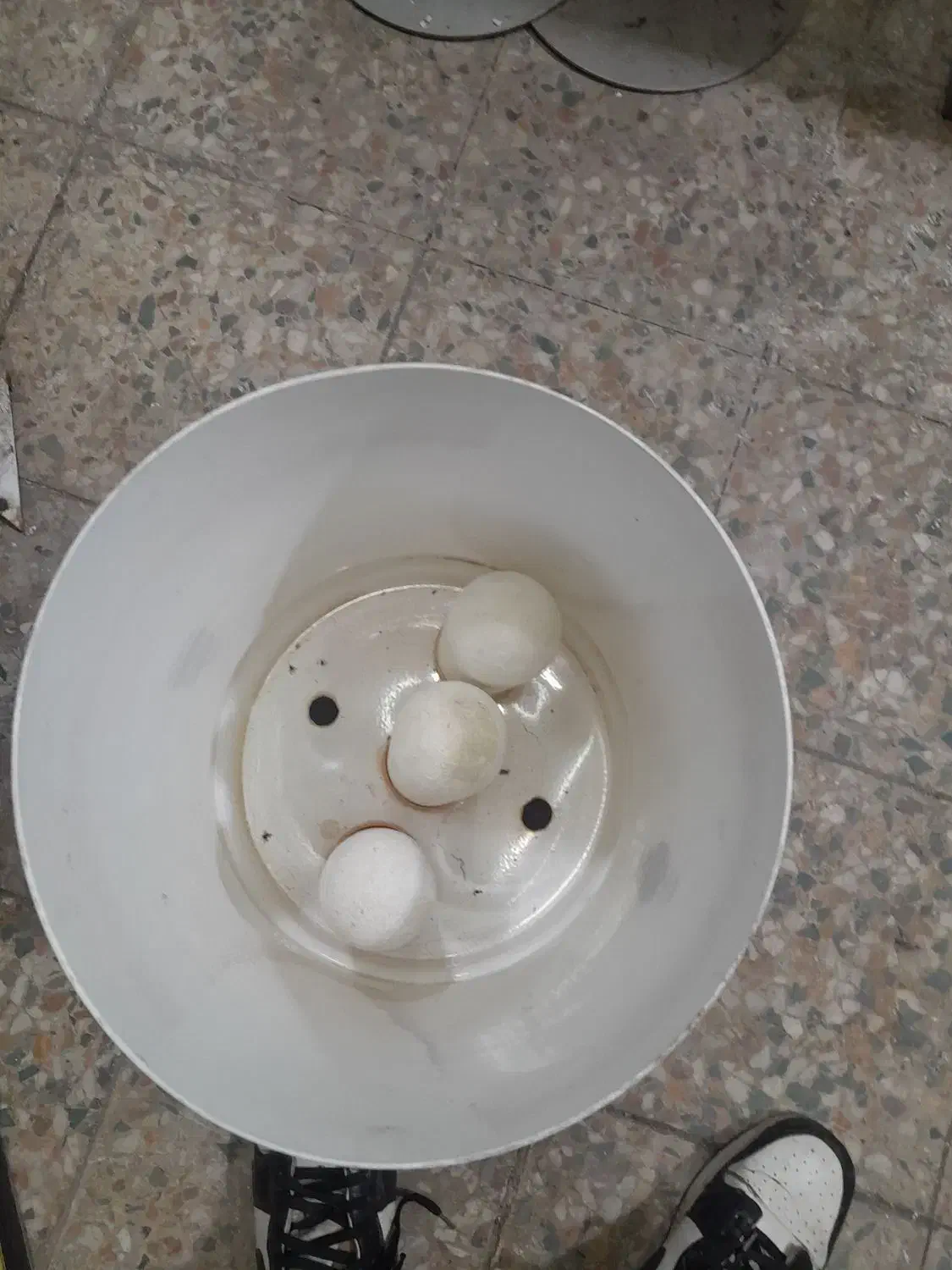 کولمن تسفیه اب|آب‌سردکن و تصفیه آب|رشت, عینک|دیوار