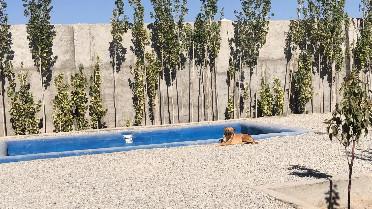 فروش باغچه ۲۵۰ تا ۳۰۰ متری در انجم آباد|فروش خانه و ویلا|رباطکریم, انجم آباد|دیوار