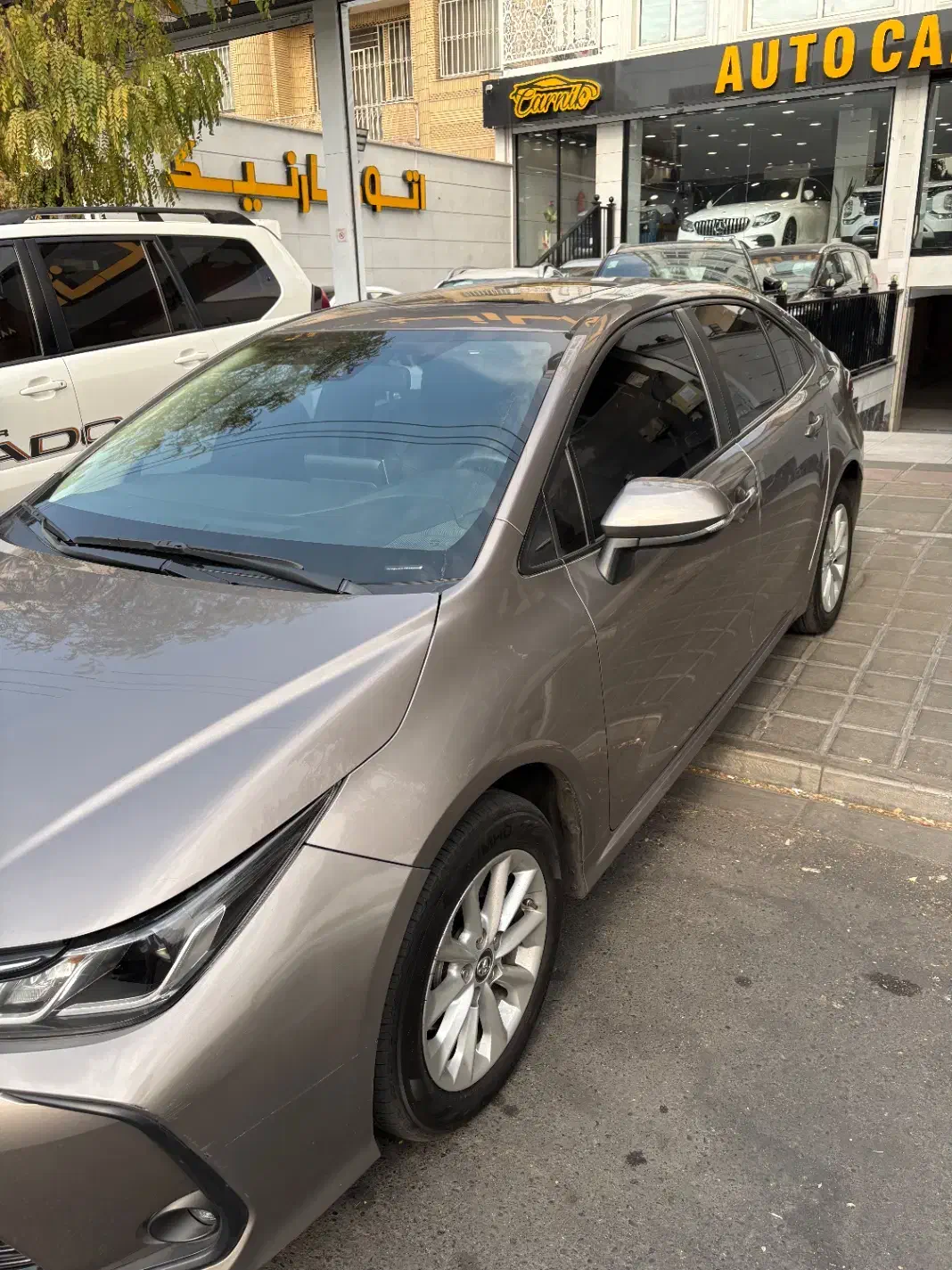 کرولا درجه ۱|خودرو سواری و وانت|تهران, درختی|دیوار