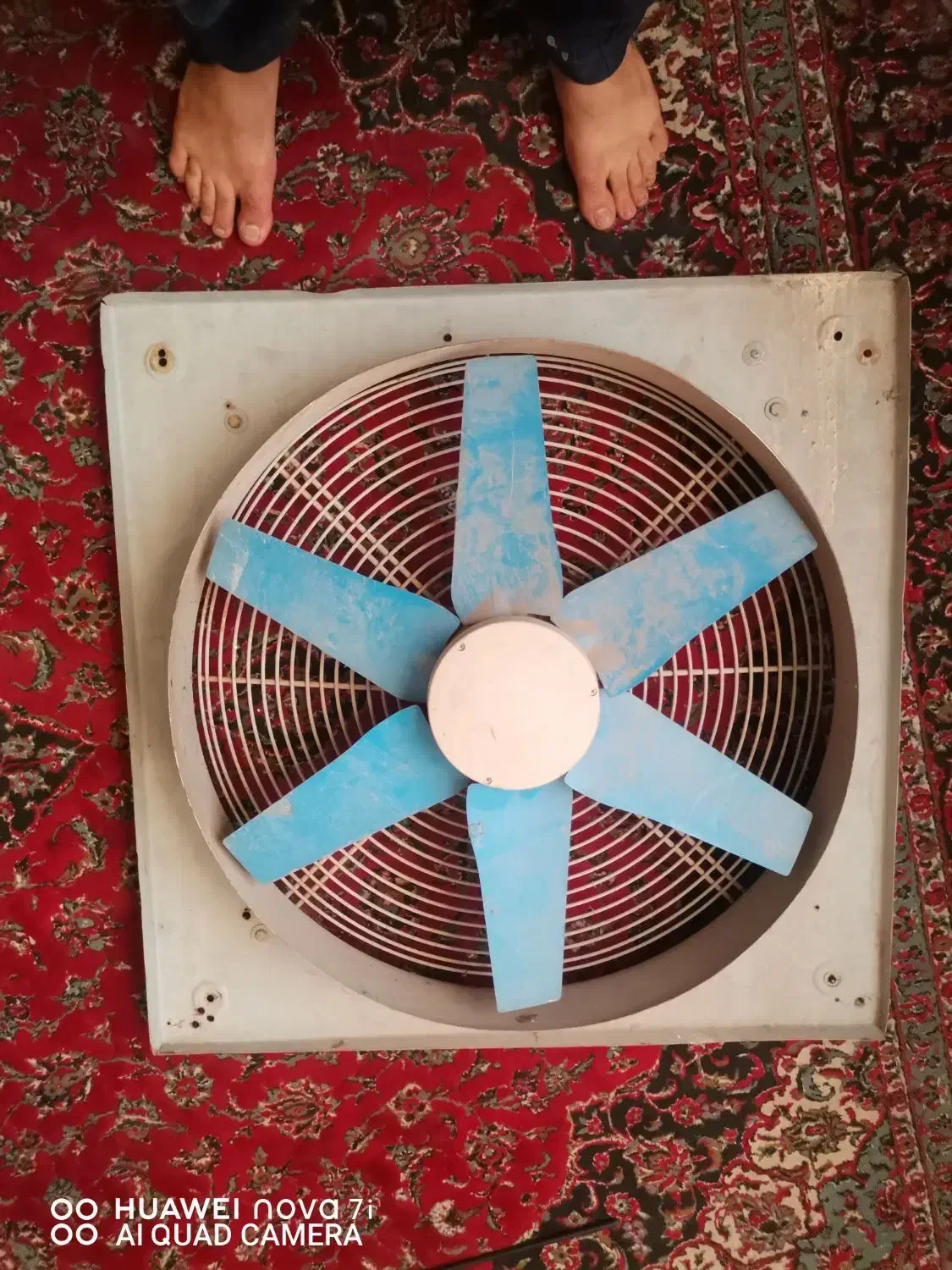 فن یک در یک مارک دمنده 3فاز|پنکه و تصفیهکنندهٔ هوا|تربت جام, شهید نصرالهی|دیوار